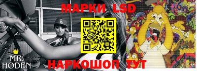 PSILOCYBIN Краснодар