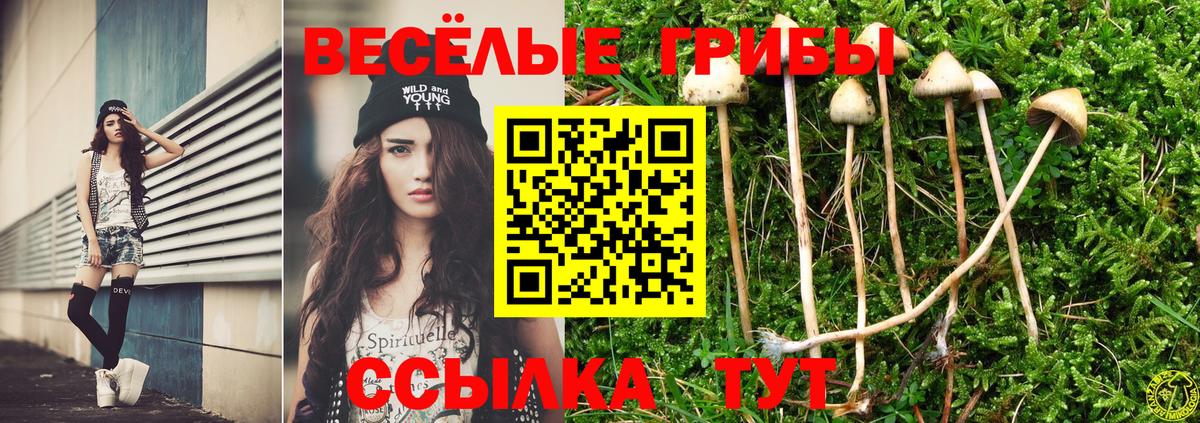 Псилоцибиновые грибы прущие грибы Ульяновск