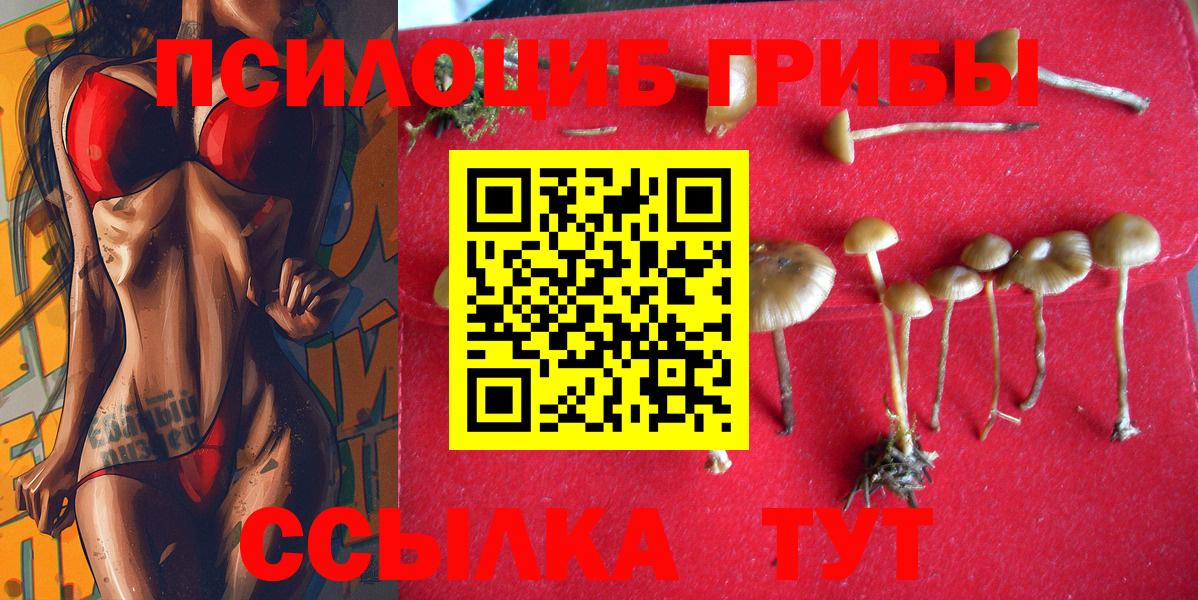Галлюциногенные грибы Psilocybe  Галлюциногенные грибы GOLDEN TEACHER  Ульяновск  Вход с VPN 